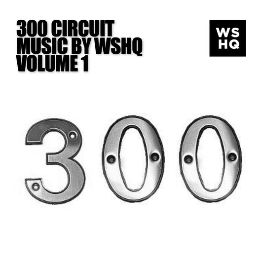 300 Workout Circuit