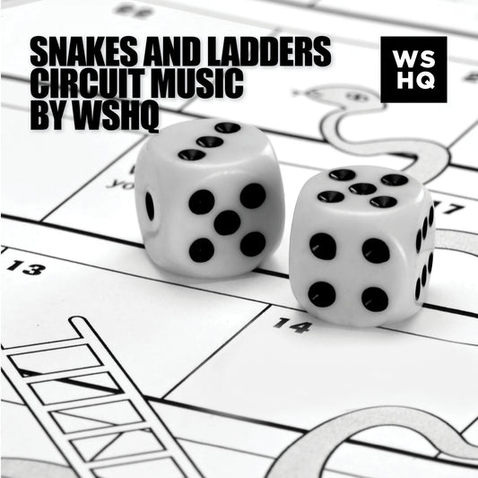 Snakes & Ladders Circuit