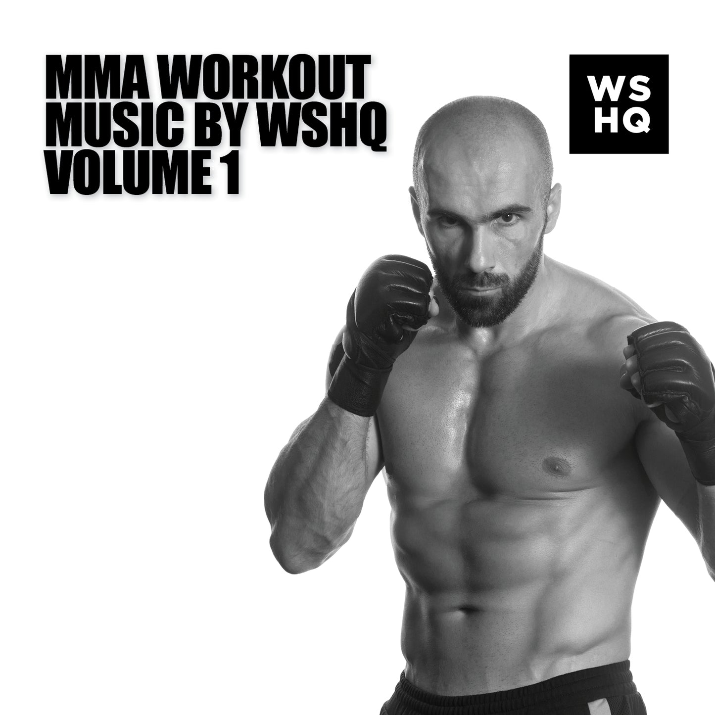 MMA Workout Music, Vol. 1